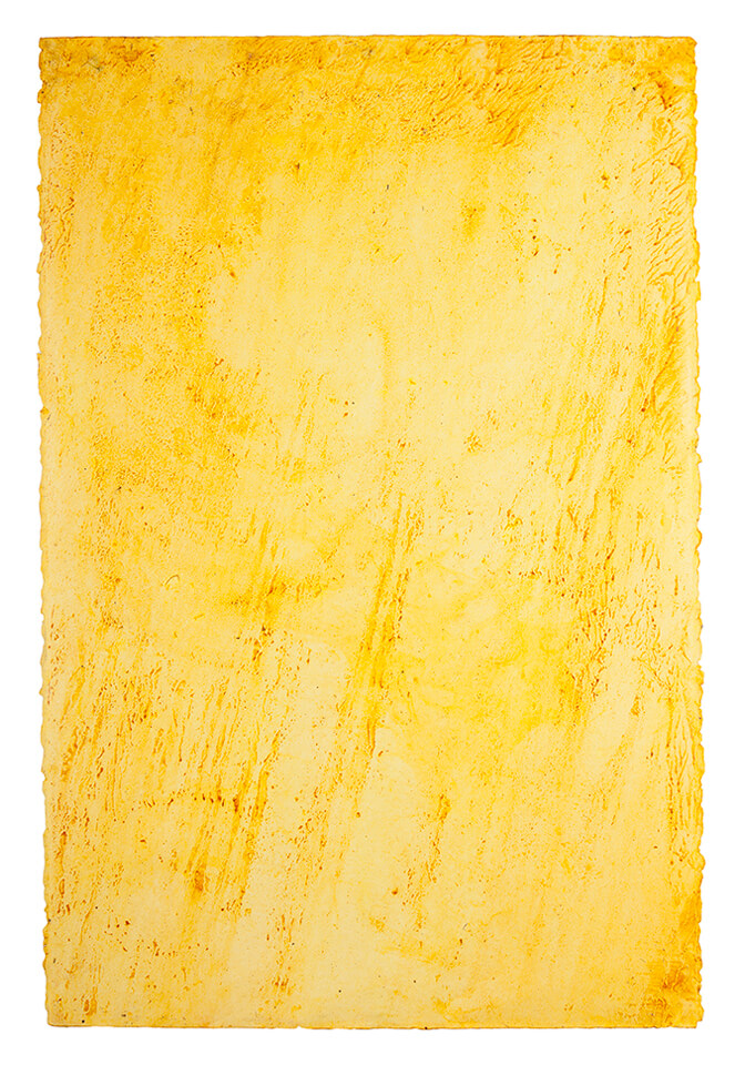 curcuma papel 06.jpg